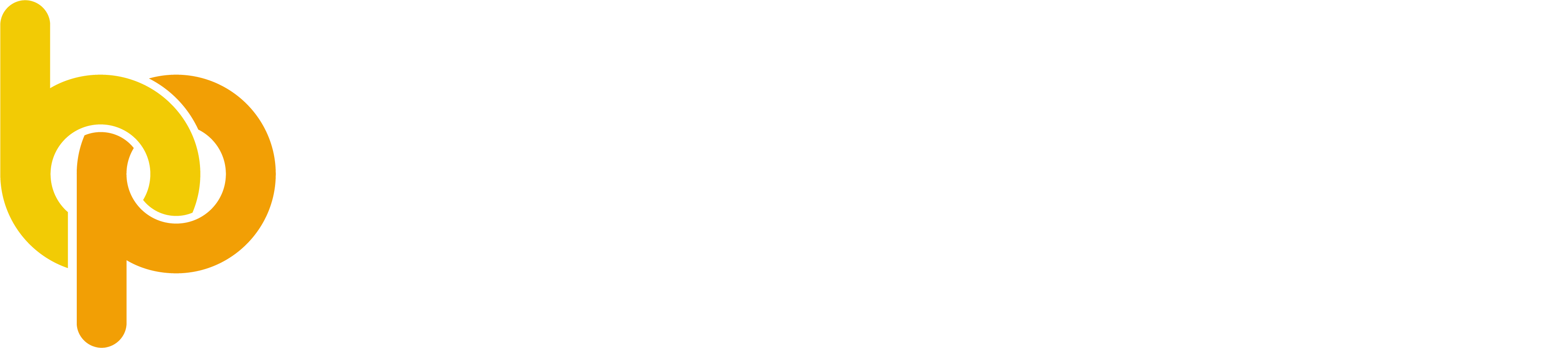 BrightPay (White Text)