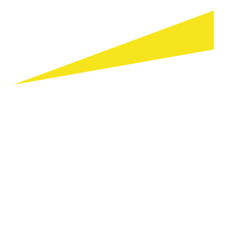 ey-white-logo